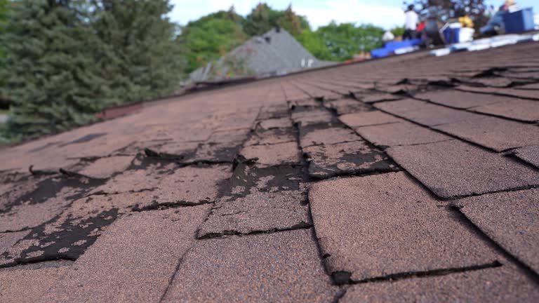 Best Gutter Installation and Repair  in Youngtown, AZ